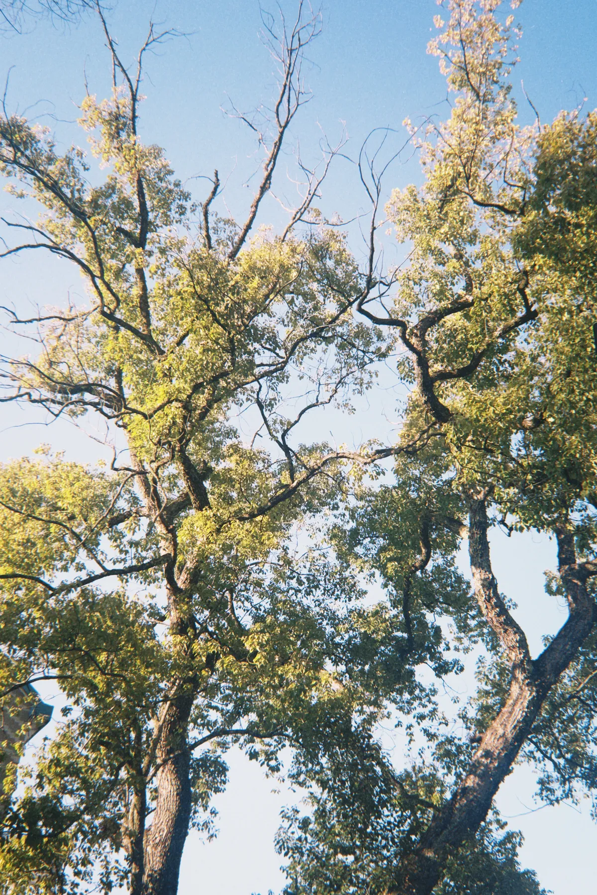 A relaxed walk around home