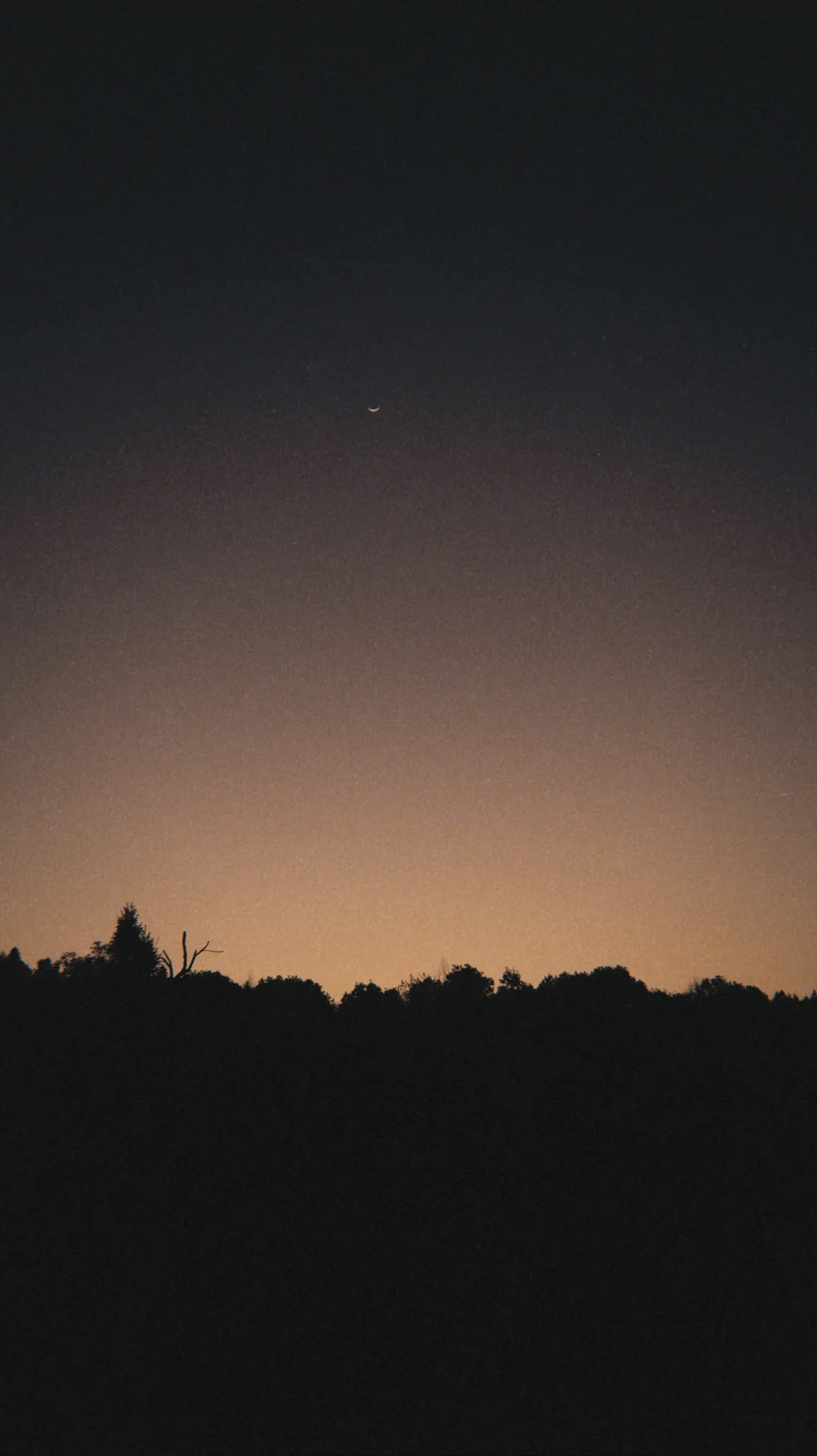 A relaxed walk around home